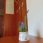 Fran Апартаменты Постира
