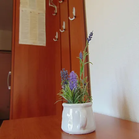 Fran Apartmán Postira
